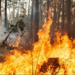 Alarmstufe A in Hessen: Forstministerium warnt vor anhaltender Waldbrandgefahr