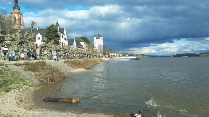 Eltville erneuert historisches Rheinufergeländer und berücksichtigt Denkmalschutz sowie Sicherheitsauflagen Eltville erneuert historisches Rheinufergeländer und berücksichtigt Denkmalschutz sowie Sicherheitsauflagen