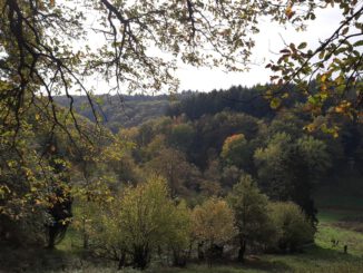 eltville weist neuen 54 kilometer langen rundweg in rauenthal aus
