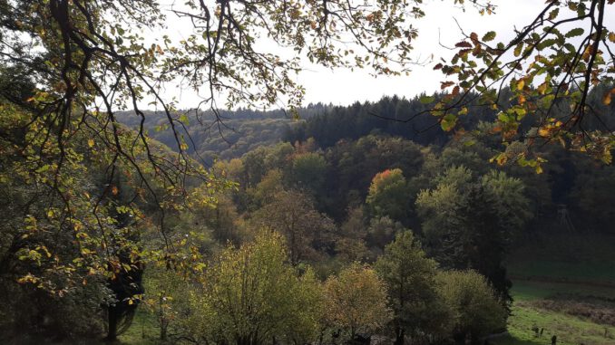 eltville-weist-neuen-54-kilometer-langen-rundweg-in-rauenthal-aus