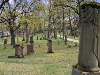 Geführte Rundgänge auf dem Alten Jüdischen Friedhof in Mainz am 7. Juni