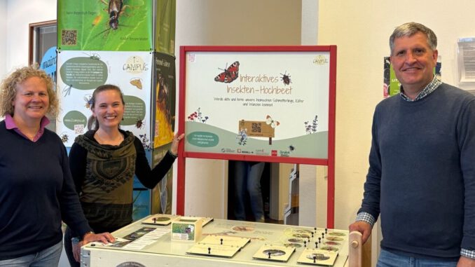 Infotrail der Universität bringt Insektenvielfalt in die Mainzer Innenstadt