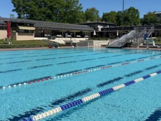 Sommer 2026: Schwimmkurse für Kinder in den Freibädern von Eltville, Oestrich-Winkel und Rüdesheim
