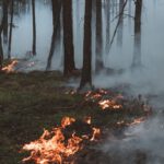 Waldbrandstufe 4 bleibt: Grillverbot auf öffentlichen Plätzen gilt weiter