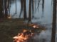 Waldbrandstufe 4 bleibt: Grillverbot auf öffentlichen Plätzen gilt weiter