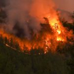 Wiesbaden erhöht Waldbrandwarnstufe auf fünf. Grillen auf kommunalen Plätzen bleibt verboten