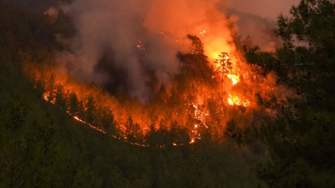 Wiesbaden erhöht Waldbrandwarnstufe auf fünf. Grillen auf kommunalen Plätzen bleibt verboten Wiesbaden erhöht Waldbrandwarnstufe auf fünf. Grillen auf kommunalen Plätzen bleibt verboten