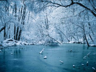 Wiesbaden warnt vor Betreten von Eisflächen: Lebensgefahr besteht auch bei Frost