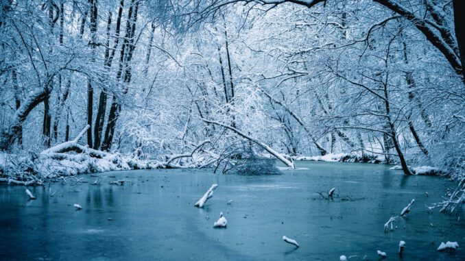 Wiesbaden warnt vor Betreten von Eisflächen: Lebensgefahr besteht auch bei Frost Wiesbaden warnt vor Betreten von Eisflächen: Lebensgefahr besteht auch bei Frost