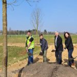Zentrales Grün im Neubaugebiet Bierstadt Nord wird mit 83 Bäumen bepflanzt
