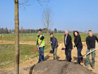 Zentrales Grün im Neubaugebiet Bierstadt Nord wird mit 83 Bäumen bepflanzt